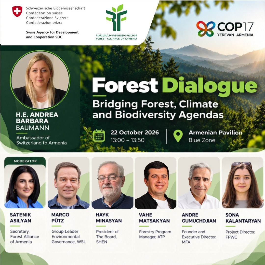 Անտառային երկխոսություններ՝ COP17-ի Կապույտ գոտում