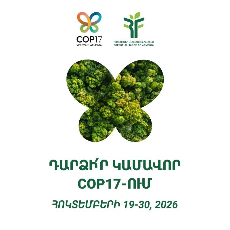 Join the Armenia Forest Alliance’s COP17 volunteer team
