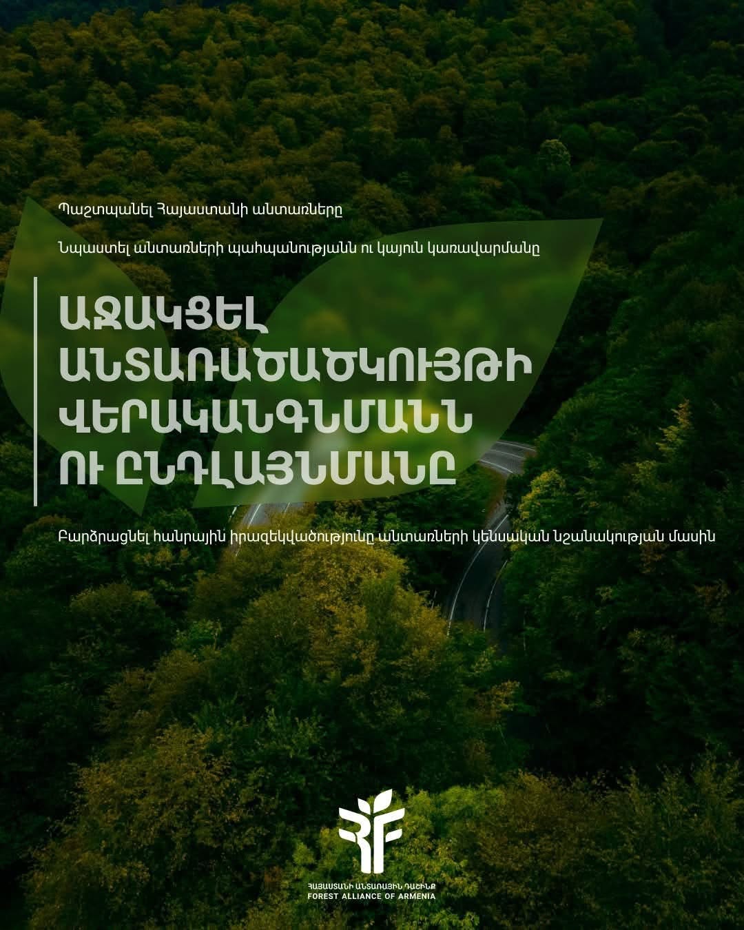 What are the key objectives of the Forest Alliance of Armenia?վ